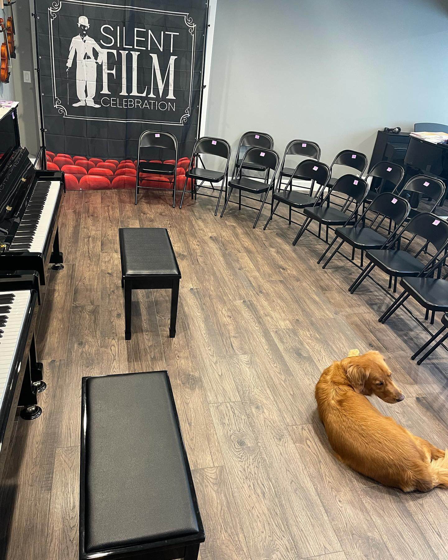 studio set up for silent film celebration